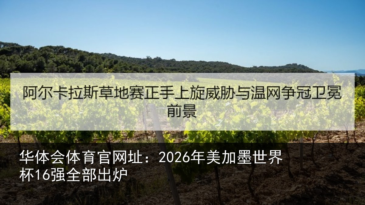 华体会体育官网址:2026年美加墨世界杯16强全部出炉